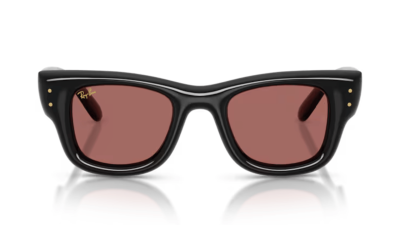 Ray-Ban 4940 Wayfarer Puffer